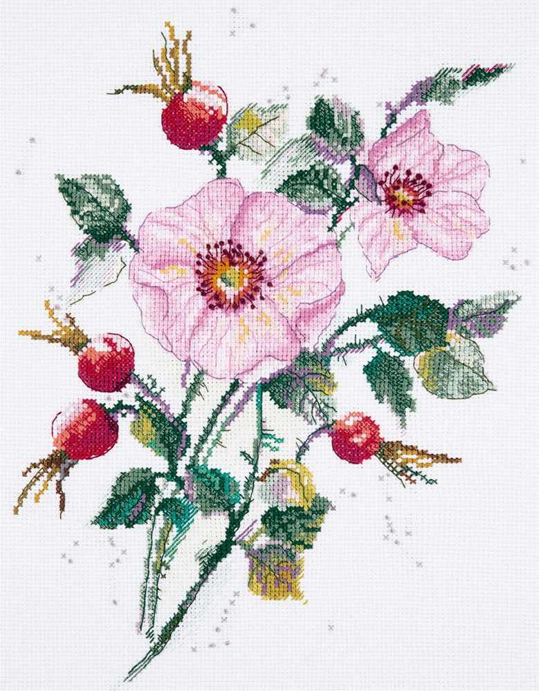 Wild Rose In May